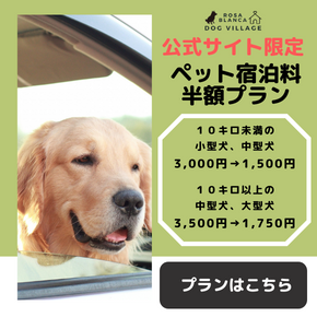 季節のおすすめイベントバナー