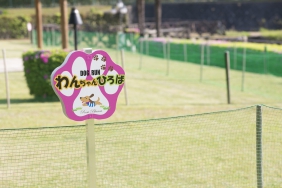 ドッグラン