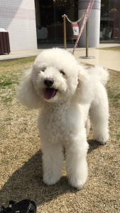 今日の“うちのコ☆”