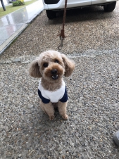 今日の“うちのコ☆”