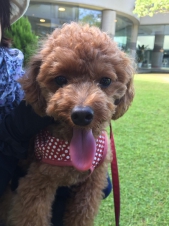 今日の“うちのコ☆”
