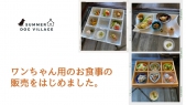 ワンちゃん用お食事の販売をはじめました