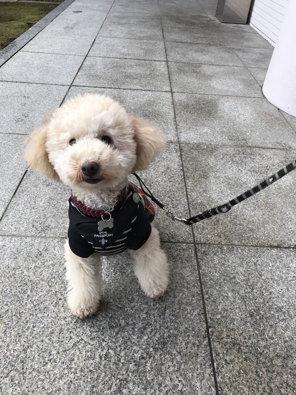 今日の“うちのコ☆”