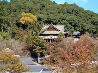 長谷寺