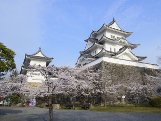 伊賀上野城 春