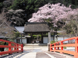 室生寺