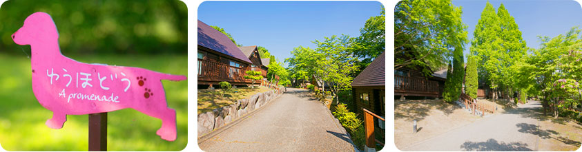 遊歩道イメージ