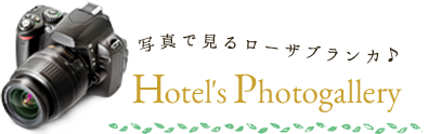 写真で見るローザブランカ