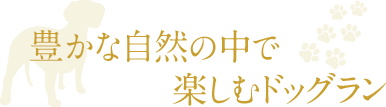 Hotel's Appeal ローザブランカの魅力をご紹介