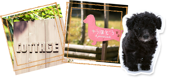 ペットコテージイメージ