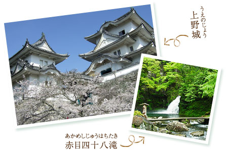 青蓮寺観光農園 なばなの里